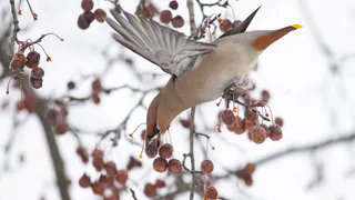 В Татарстане 12 января ожидается пасмурная погода с небольшими морозами