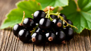 После одной обработки тля на смородине исчезла, а средство абсолютно безопасно для людей. Работает на все 100% 