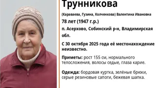 В Собинском районе ищут 78-летнюю женщину нуждающуюся в медицинской помощи