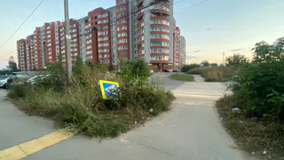 Покоится вместе с  мусором: на Зубковой знак пешеходного перехода несколько недель валяется в траве