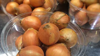 Залог богатого урожая лука-севка: как сделать правильный выбор