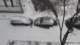 Даже не верится, что так быстро: синоптики назвали точную дату, когда выпадет снег