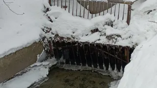 Следователь Нариманидзе отстранен от расследования гибели рязанца Ивана Брысина