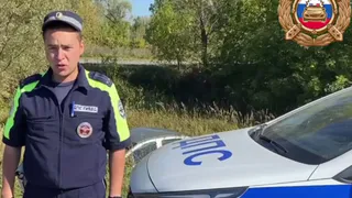 Водитель Renault Logan погиб в результате опрокидывания автомобиля в Кадомском районе