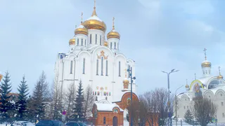 Сыктывкарская епархия запускает образовательный проект по изучению Библии