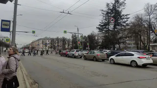 Дорога из бриллиантов: Тамара Глоба назвала два знака, которым предстоит жить в гармонии и благополучии