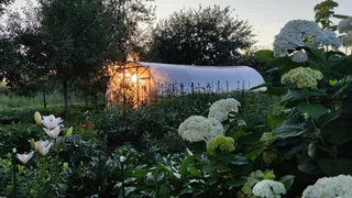 Пощады не ждите: за инструменты и садовую технику на даче начнут штрафовать с 19 мая