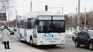 Ну, наконец-то: сегодня на рейс выпустили новые автобусы