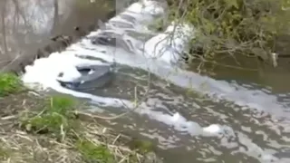 Вспенилась: рязанец пожаловался на состояние реки Лыбедь