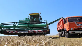 Владимирские аграрии завершили уборку зерновых и подвели итоги урожайного сезона
