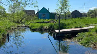 Переехали жить в деревню и только через год поняли, почему там больше не живут фермерством