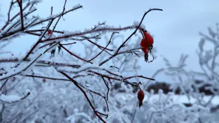 Синоптики сообщили о погодном вираже с 25 сентября — так холодно еще не было