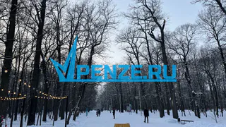 Стало известно, как оформить электронный охотничий билет