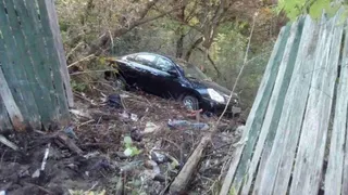 Пенсионер на иномарке протаранил дерево в брянском садовом обществе