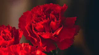 В Рязани разыскивают родственников младшего лейтенанта Рогачева Василия