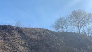 Раньше здесь росли колокольчики: в Семчине замусоривают природу