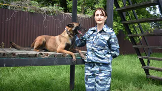 В Чебоксарах овчарка по кличке Шарки раскрыла покушение на кражу из ювелирного магазина