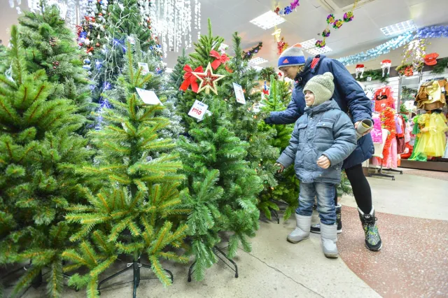 Как правильно выбрать елку?