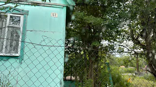 Теперь это самое популярное у дачников растение теперь строго запрещено выращивать: новое правило ввели с 10 июля