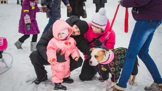 В Рязани обнаружили бешенство животных