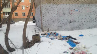 Завелись крысы: на Высоковольтной образовалась помойка