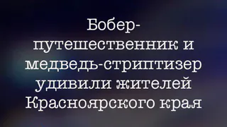 В App Store появилось приложение, которое читает новости под музыку "Кровосток"