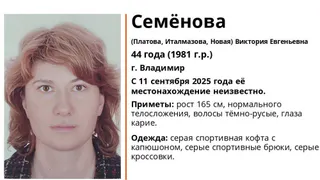 Во Владимире ищут пропавшую 44-летнюю женщину в серых спортивных кофте и брюках