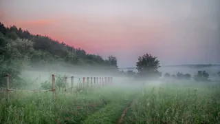 Жителей Брянской области 10 сентября ожидает температура до +18 градусов