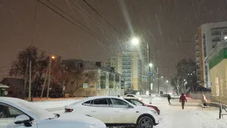 С 1 января точно начнут лишать прав за эти наклейки на авто: водителей ждет новый неприятный сюрприз