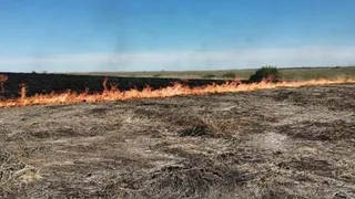 МЧС Рязанской области напомнило о чрезвычайной пожарной опасности