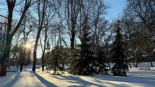 Рязанские теннисистки - полуфиналисты Открытого чемпионата Австралии по теннису