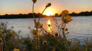 Последний летний конкурс: запускаем голосование!