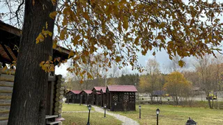 30 октября в Рязанской области ожидается дождь и до +11