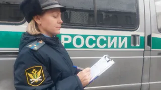 Запрет на выезд из страны заставил меленковца погасить алиментный долг в 200 тысяч рублей