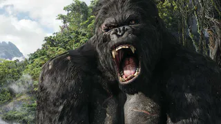 Подборка фильмов об обезьянах от "Pro Города"