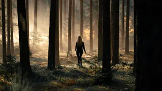 Приметы и запреты на 4 сентября: в лес не пускали девушек и детей...