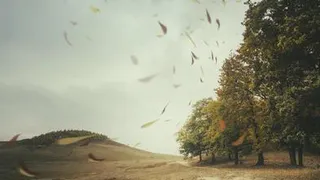 Приметы и запреты на 21 августа: выйдите на перекресток и загадайте желание