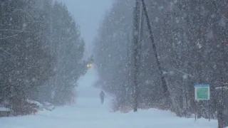 Гидрометцентр объявил в Челябинской области желтый уровень погодной опасности 16 февраля