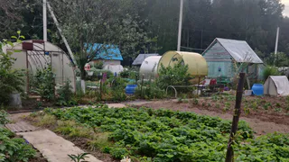 Указ подписан - ждите "гостей": всех, у кого на участке такие теплицы или сарай, начнут штрафовать по 2000 рублей в день