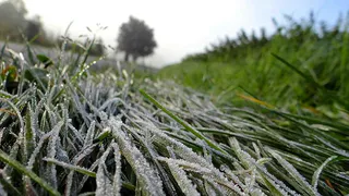 В Татарстане объявлено штормовое предупреждение из-за заморозков