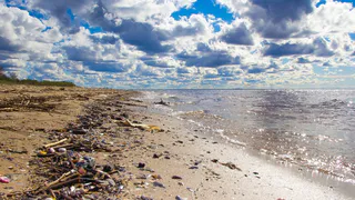 Липкие взгляды, вонючая вода, грязь на пляже: назван топ худших российских курортов