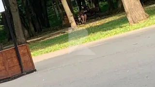 В рязанском Лесопарке бойцовский пёс накинулся на двух девочек