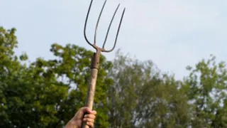 В Татарстане соседи не поделили землю