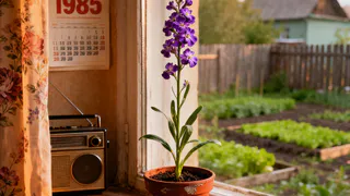 Сею вместо петунии и все лето не нарадуюсь: этот кустарник цветет с мая по ноябрь — и простой в уходе