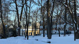 В Пензе 17 февраля ударят морозы до −14 градусов