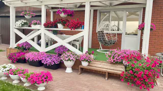 Многолетники редкой красоты: цветут без хлопот и украшают сад до самых суровых морозов