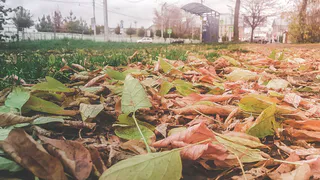 В воскресенье в Рязани возможны кратковременные дожди