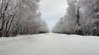 В Челябинскую область 30 декабря придут морозы до -23 градусов