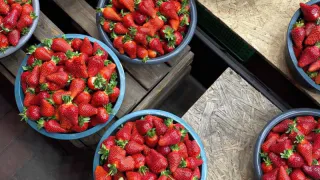 В Рязани сумма штрафов за незаконную торговлю превысила три миллиона рублей  