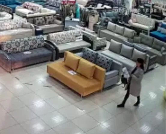 В Нижнекамске женщина зашла в мебельный магазин, украла деньги у бабушки